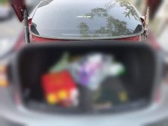 Tesla Model 3 Rear-Wheel Drive - ფოტო 10