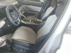 BYD Song Plus New Energy 2021 DM-i 51KM Premium Edition - ფოტო 15