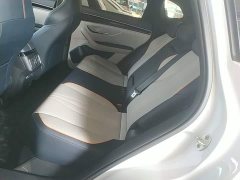 BYD Song Plus New Energy 2021 DM-i 51KM Premium Edition - ფოტო 17