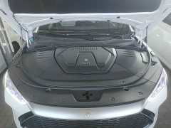 BYD Song Plus New Energy 2021 DM-i 51KM Premium Edition - ფოტო 20