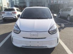 SAIC Clever 311km Vitality Pop Edition - ფოტო 3