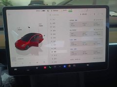 Tesla Model 3 2022 Rear-Wheel Drive - ფოტო 12