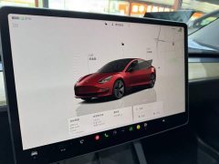 Tesla Model 3 2022 Rear-Wheel Drive - ფოტო 13