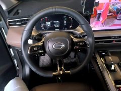 GAC Aion GS4 MAX 1.5T Premier Edition - ფოტო 11