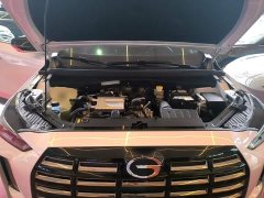 GAC Aion GS4 MAX 1.5T Premier Edition - ფოტო 20