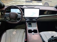 BYD Dolphin 07 DM-i 2026 DM-i 1.5T 230km Flagship - ფოტო 10