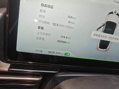 XPeng P5 2021 550G - ფოტო 5