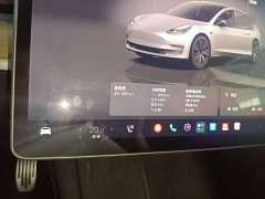 Tesla Model 3 Rear-Wheel Drive - ფოტო 12