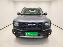 Great Wall Dachshund 2026 1.5T DCT Border Collie Edition - ფოტო 5