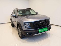 Great Wall Dachshund 2026 1.5T DCT Border Collie Edition - ფოტო 6