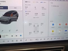Li Auto L9 Pro - ფოტო 12