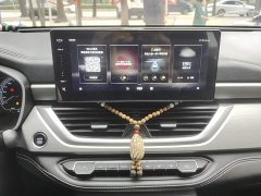 Geely Emgrand X6 2020 1.4T CVT Luxury - ფოტო 13