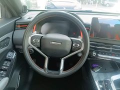 Haval Chitu Turbo Engine Edition 1.5T Platinum - ფოტო 11