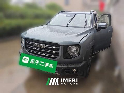 2021 Great Wall Dachshund 2.0T DCT Four-Wheel Drive Chinese Rural Dog Edition - ავტომობილი ჩინეთიდან