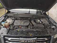 Great Wall Dachshund 2.0T DCT Four-Wheel Drive Chinese Rural Dog Edition - ფოტო 11