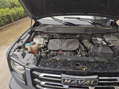 Great Wall Dachshund 2.0T DCT Four-Wheel Drive Chinese Rural Dog Edition - ფოტო 19