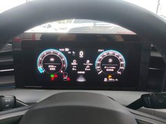 Volkswagen Lingdu L 300TSI Lingfeng Edition - ფოტო 12