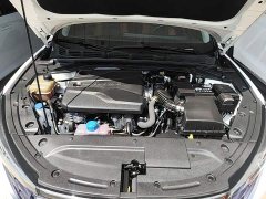 Changan Eado Enjoy Plus Blue Whale NE 1.4T GDI DCT Luxury Edition - ფოტო 20