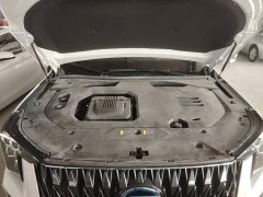 GAC Aion GS8 2022 Dual Engine 2.0T M Two-Wheel Drive Luxury Edition (7-Seater) - ფოტო 20