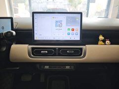 Wuling Binguo PLUS 2024 401km 5-Seater - ფოტო 13