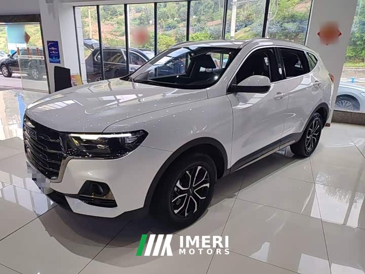 Haval H6 2021 National Trend Edition 1.5T Automatic Urban Version - ავტომობილი ჩინეთიდან