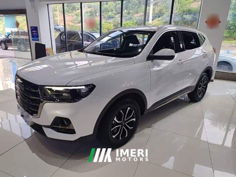 2022 Haval H6 2021 National Trend Edition 1.5T Automatic Urban Version - ავტომობილი ჩინეთიდან