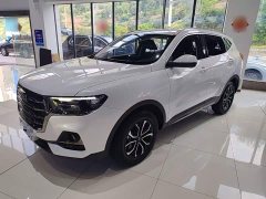 Haval H6 2021 National Trend Edition 1.5T Automatic Urban Version - ფოტო 2