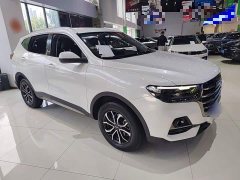 Haval H6 2021 National Trend Edition 1.5T Automatic Urban Version - ფოტო 4