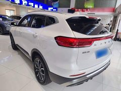 Haval H6 2021 National Trend Edition 1.5T Automatic Urban Version - ფოტო 5