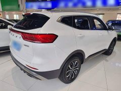 Haval H6 2021 National Trend Edition 1.5T Automatic Urban Version - ფოტო 7