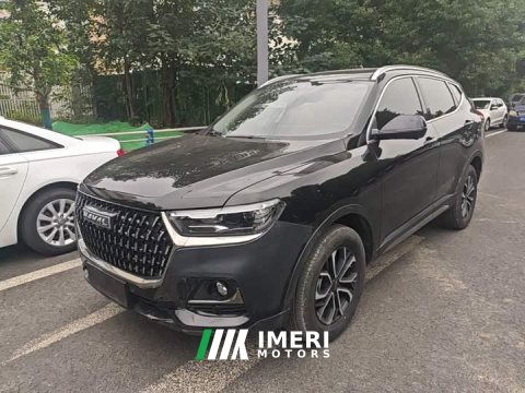 2024 Haval H6 2023 National Trend Edition 1.5T Automatic Urban Version - ავტომობილი ჩინეთიდან