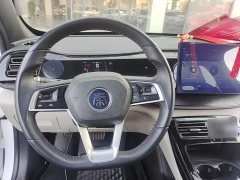 BYD Qin Plus 2021 DM-i 55KM Luxury - ფოტო 11