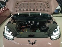Wuling Binguo 410km Lingxi Premium Edition - ფოტო 20