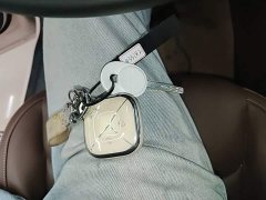Wuling Binguo 410km Lingxi Premium Edition - ფოტო 9