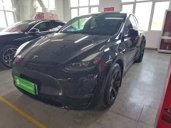 Tesla Model Y 2021 Standard Range RWD - ფოტო 1