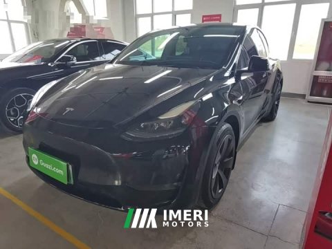 2022 Tesla Model Y 2021 Standard Range RWD - ავტომობილი ჩინეთიდან