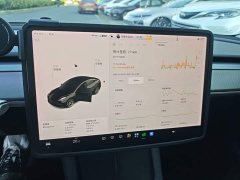 Tesla Model 3 Facelift Standard Range RWD Upgrade 3D1 - ფოტო 12