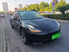 Tesla Model 3 Facelift Standard Range RWD Upgrade 3D1 - ფოტო 4