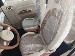 FAW Besturn Xiaoma 222km Colorful Edition - ფოტო 15