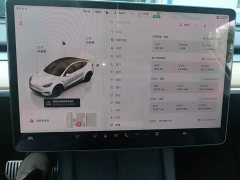 Tesla Model Y Rear-Wheel Drive - ფოტო 12