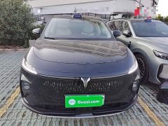 Voyah Lantu Zhiyin Four-Wheel Drive Qiankun Edition - ფოტო 3