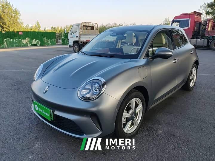 ORA Good Cat 430km Deluxe Edition - ავტომობილი ჩინეთიდან