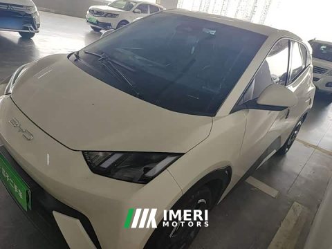 2023 BYD Seagull Flying Edition - ავტომობილი ჩინეთიდან