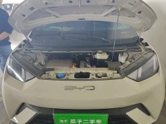 BYD Seagull Flying Edition - ფოტო 11