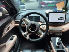 BYD Seagull Flying Edition - ფოტო 13