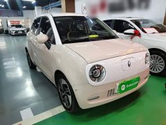Ora Black Cat 351km Comfort Ternary Lithium - ფოტო 4