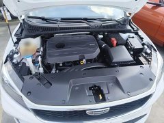 Geely Binrui 1.4T CVT Asian Games Edition - ფოტო 20