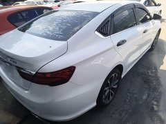 Geely Binrui 1.4T CVT Asian Games Edition - ფოტო 7
