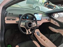 BYD Seagull Glory Edition 305km Freedom Version - ფოტო 10