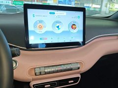 BYD Seagull Glory Edition 305km Freedom Version - ფოტო 13